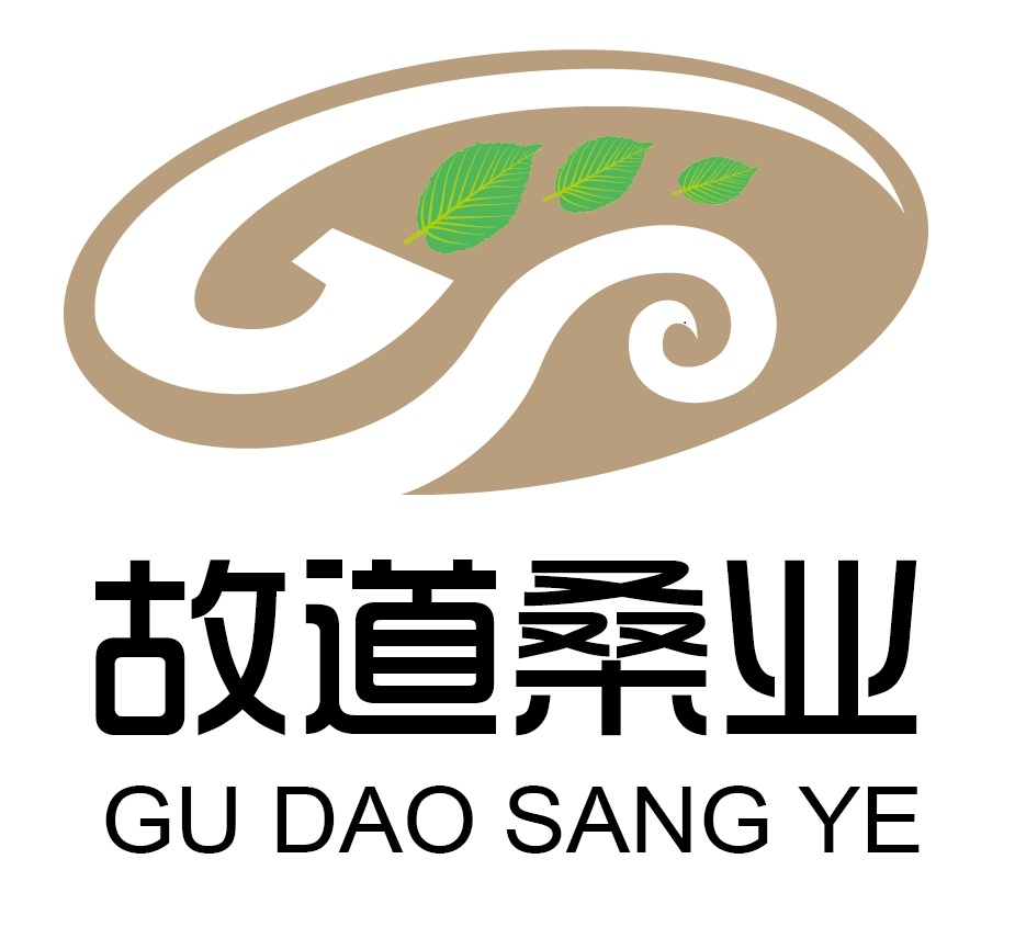 喝茶就可以防脫生發(fā)，太神奇了！桑葉養(yǎng)生茶