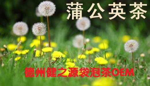 蒲公英茶，今天您喝了嗎？