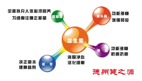 夏天腸胃問(wèn)題頻發(fā)，您應(yīng)該用益生菌了